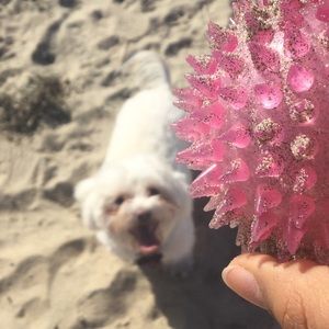 Meet your Posher, Jade